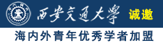 美女被操在线诚邀海内外青年优秀学者加盟西安交通大学